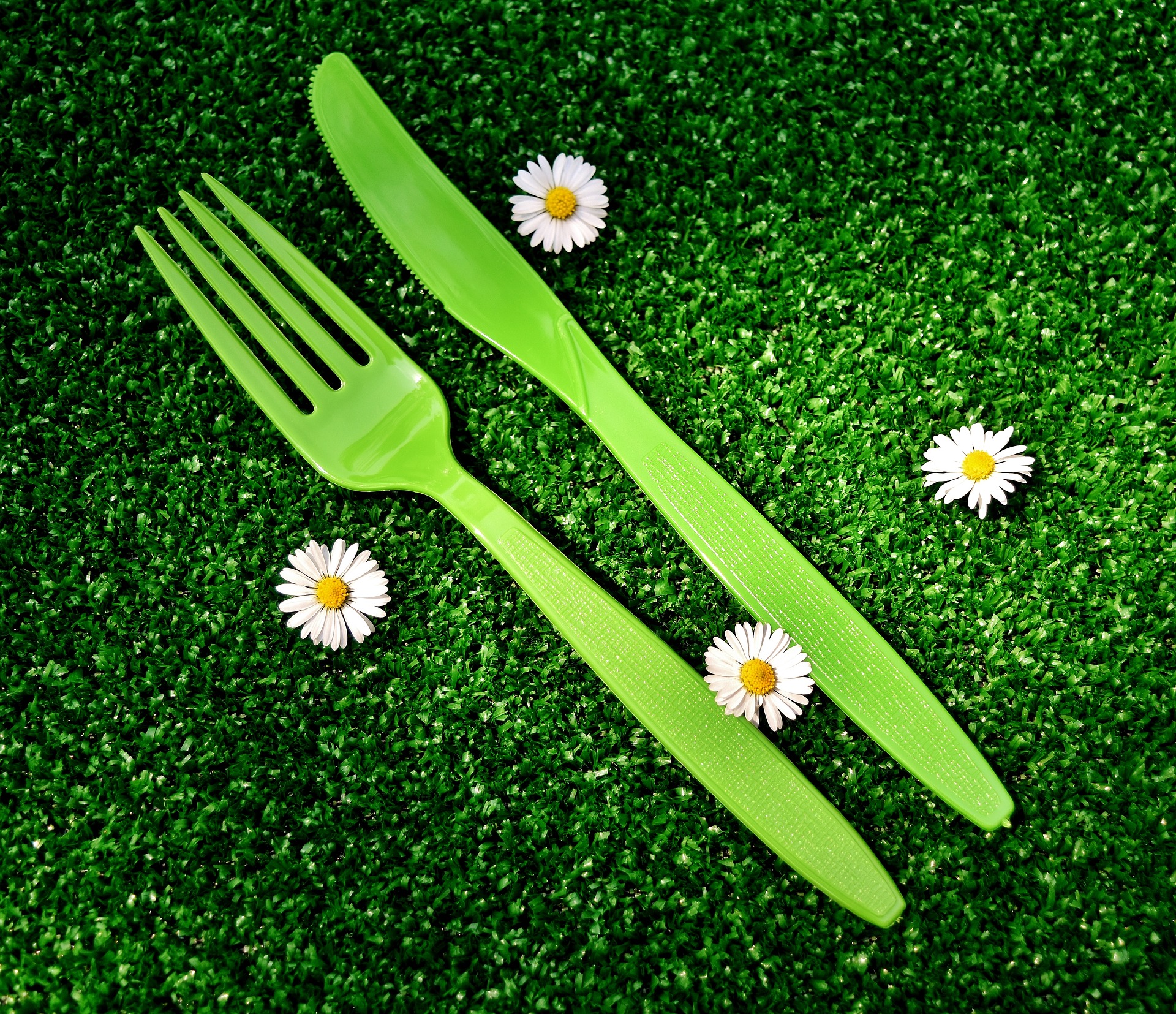 The EU proposes Direcitve to reduce the impact of certain plastic products on the environment